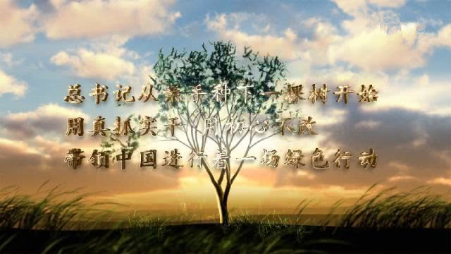 圖片轉載自——習近平書記植樹微視頻