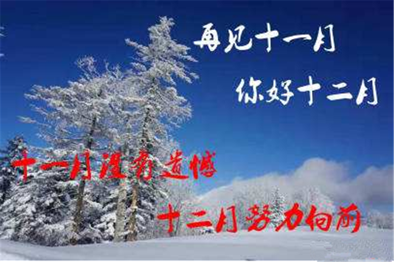 11月再見 ，12月你好——貝朗全自動鋼絲機(jī)